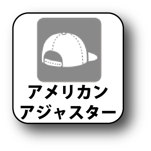 アメリカンアジャスター